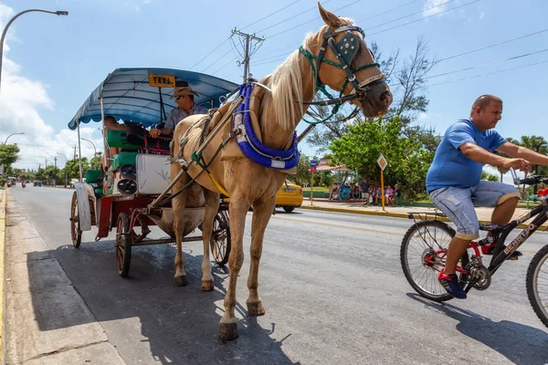 Varadero Cuba May 2019 Horse Carriage Taxi Ride Street Vibrant — Stock Photo, Image