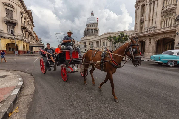 Havana Kuba Mai 2019 Pferdekutsche Den Straßen Der Schönen Alten — Stockfoto