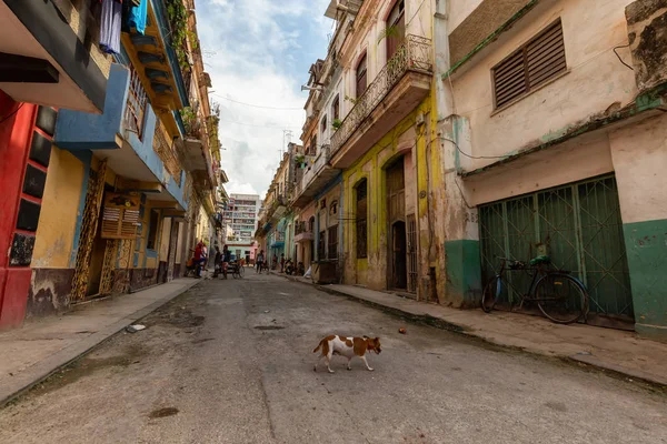 Havana Küba Mayıs 2019 Eski Havana City Küba Nın Başkenti — Stok fotoğraf