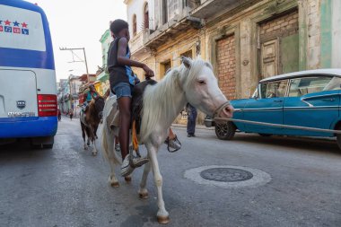 Havana, Küba - 27 Mayıs 2019: Eski Havana Şehrinin sokaklarında küçük bir atla genç Kübalı çocuklar, Küba'nın başkenti, parlak ve güneşli bir akşam.