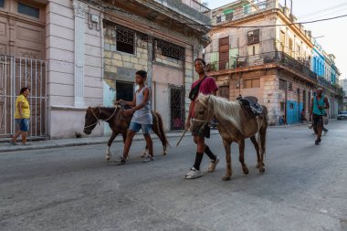 Havana, Küba - 27 Mayıs 2019: Eski Havana Şehrinin sokaklarında küçük bir atla genç Kübalı çocuklar, Küba'nın başkenti, parlak ve güneşli bir akşam.