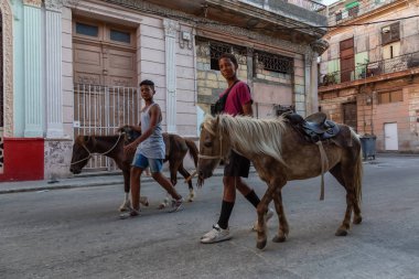 Havana, Küba - 27 Mayıs 2019: Eski Havana Şehrinin sokaklarında küçük bir atla genç Kübalı çocuklar, Küba'nın başkenti, parlak ve güneşli bir akşam.