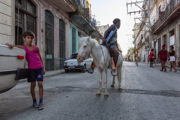 Гавана Куба Мая 2019 Года Молодые Кубинские Подростки Маленькой Лошадкой — стоковое фото