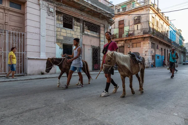 Havana Küba Mayıs 2019 Eski Havana Şehrinin Sokaklarında Küçük Bir — Stok fotoğraf