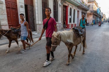 Havana, Küba - 27 Mayıs 2019: Eski Havana Şehrinin sokaklarında küçük bir atla genç Kübalı çocuklar, Küba'nın başkenti, parlak ve güneşli bir akşam.