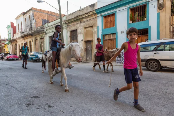 Havana, Küba - 27 Mayıs 2019: Eski Havana Şehrinin sokaklarında küçük bir atla genç Kübalı çocuklar, Küba'nın başkenti, parlak ve güneşli bir akşam.