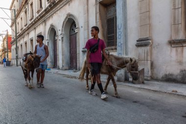 Havana, Küba - 27 Mayıs 2019: Eski Havana Şehrinin sokaklarında küçük bir atla genç Kübalı çocuklar, Küba'nın başkenti, parlak ve güneşli bir akşam.