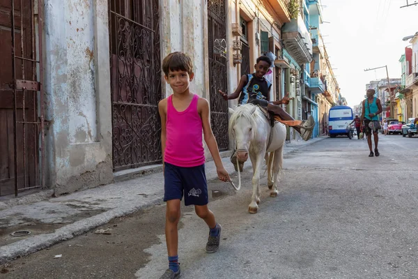 Havana Küba Mayıs 2019 Eski Havana Şehrinin Sokaklarında Küçük Bir — Stok fotoğraf