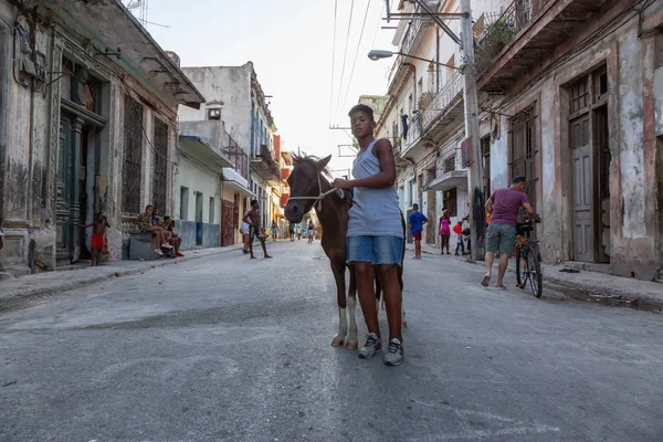 Avana Cuba Maggio 2019 Giovani Ragazzi Cubani Adolescenti Con Cavallino — Foto Stock