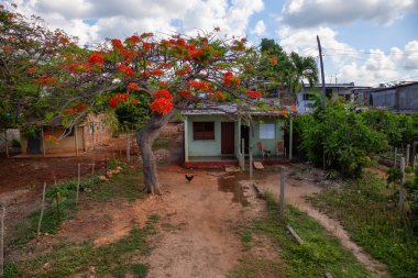 Trinidad, Küba yakınlarındaki La Boca kasabasında ki bir yerleşim bölgesinin havadan görünümü.