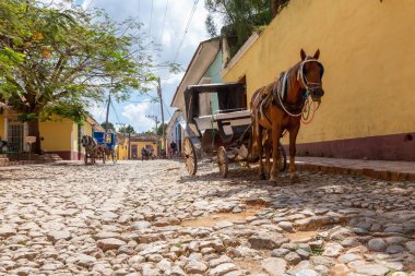 Trinidad, Küba - 6 Haziran 2019: Canlı güneşli bir günde küçük bir Küba Kasabasının sokaklarında At Arabası.