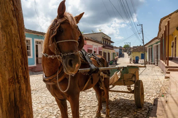 Canlı Güneşli Bir Gün Boyunca Küçük Bir Küba Kasabası Sokaklarında — Stok fotoğraf