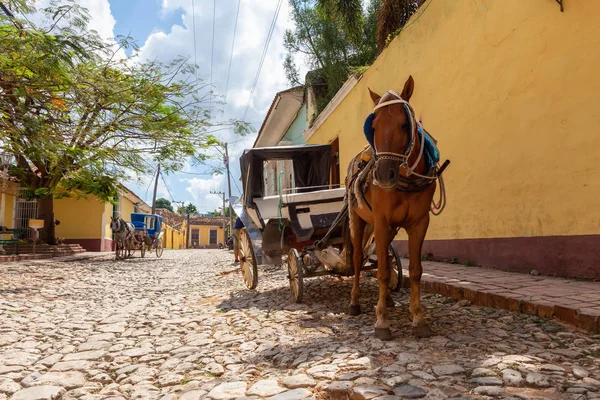 Horse Carriage Ulicach Małego Kubańskiego Miasteczka Tętniącym Życiem Słonecznym Dniu — Zdjęcie stockowe