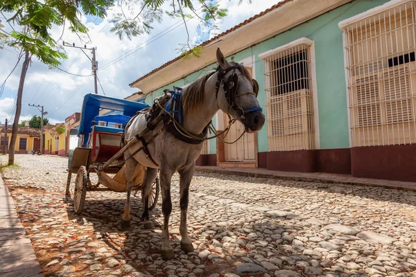 Horse Carriage Ulicach Małego Kubańskiego Miasteczka Tętniącym Życiem Słonecznym Dniu — Zdjęcie stockowe