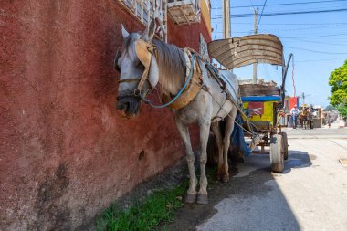 Trinidad, Küba - 6 Haziran 2019: Canlı güneşli bir günde küçük bir Küba Kasabasının sokaklarında At Arabası.