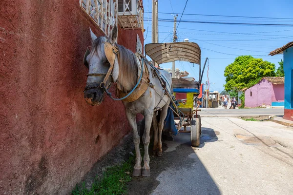 Trinidad Küba Haziran 2019 Canlı Güneşli Bir Günde Küçük Bir — Stok fotoğraf