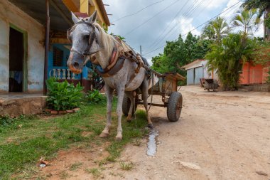 Canlı güneşli bir gün boyunca küçük bir Küba Kasabası sokaklarında At Arabası. Trinidad, Küba'da çekilmiş.