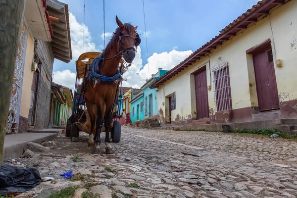 Caballo Carruaje Las Calles Pequeño Pueblo Cubano Durante Vibrante Día —  Fotos de Stock
