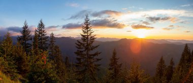 Canlı ve renkli bir yaz gün batımı sırasında Amerikan Dağ Manzara Güzel Panoramik Görünümü. Sun Top Lookout alınan, Mt Rainier Ulusal Parkı, Seattle Güney, Washington, Amerika.