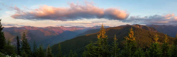 鮮やかでカラフルな夏の夕日の間にアメリカの山の風景の美しいパノラマビュー サントップ展望台から撮影 マウントレーニア国立公園 シアトルの南 ワシントン アメリカ合衆国 — ストック写真