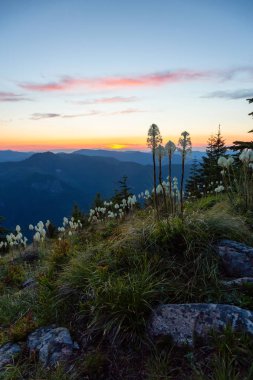 Canlı ve renkli bir yaz gün batımı sırasında Amerikan Dağ Manzara Güzel Görünümü. Sun Top Lookout alınan, Mt Rainier Ulusal Parkı, Seattle Güney, Washington, Amerika.