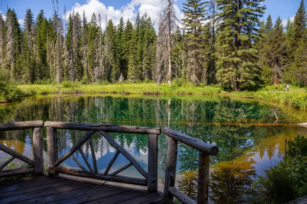 Beautiful View of Little Crater Lake during a vibrant sunny summer day. Taken in Mt Hood National Forest, Oregon, United States of America.