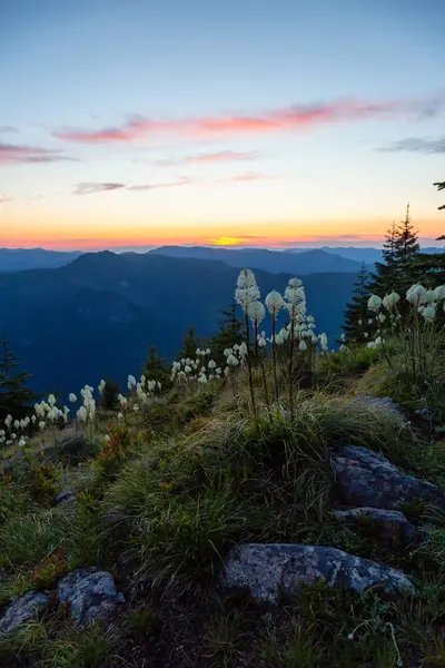 Beautiful View American Mountain Landscape Vibrant Colorful Summer Sunset Taken — Stock Photo, Image