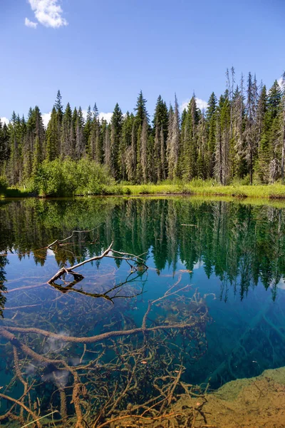 在阳光明媚的夏日 小火山口湖的美丽景色 拍摄于美利坚合众国俄勒冈州胡德山国家森林 — 图库照片