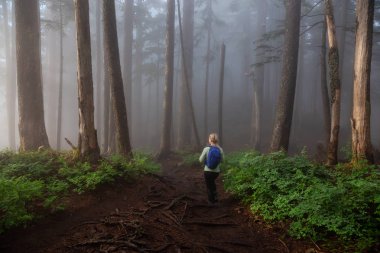 Maceracı bir kız sisli ve yağmurlu bir gün boyunca ormanda bir iz üzerinde yürüyüş. Alınan Cypress Provincial Park, Vancouver, British Columbia, Kanada.