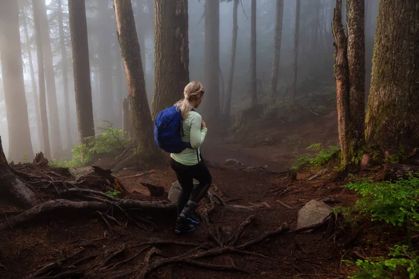 Chica Aventurera Caminando Por Sendero Bosque Durante Día Nublado Lluvioso — Foto de Stock