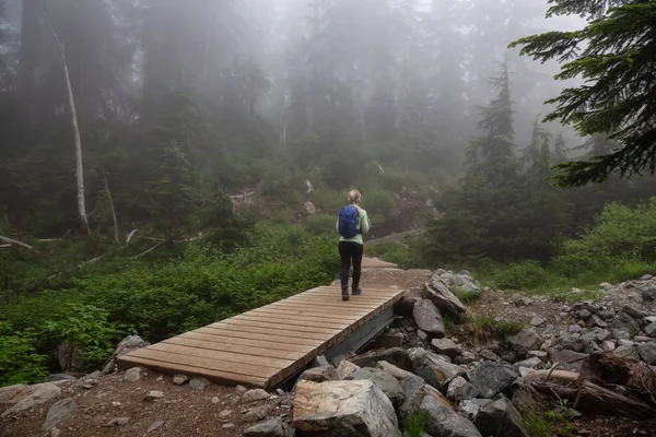 안개와 비오는 숲에서 산책로에 하이킹 사이프러스 주립공원 밴쿠버 브리티시컬럼비아 캐나다 — 스톡 사진