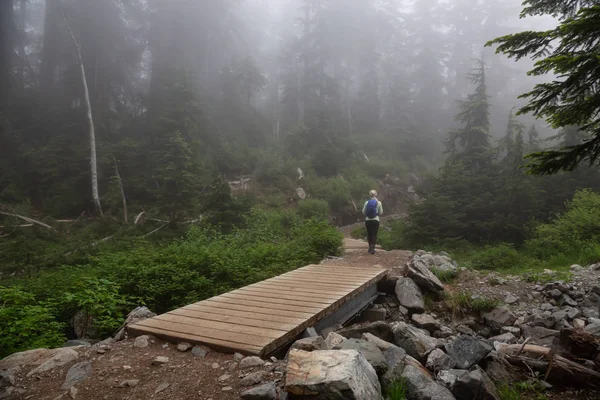 霧と雨の日の間に森の中のトレイルにハイキング冒険的な女の子 カナダ ブリティッシュコロンビア州バンクーバー サイプレス州立公園で撮影 — ストック写真