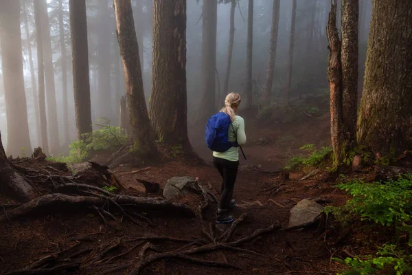 Chica Aventurera Caminando Por Sendero Bosque Durante Día Nublado Lluvioso — Foto de Stock