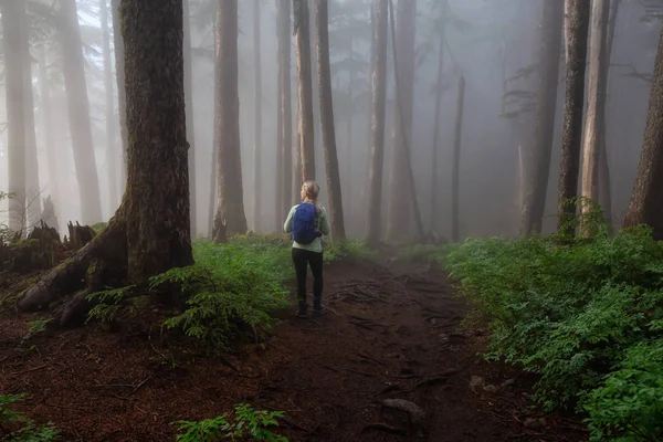 Menina Aventurosa Caminhadas Uma Trilha Floresta Durante Dia Nebuloso Chuvoso — Fotografia de Stock