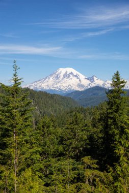 Güneşli bir yaz günü boyunca güzel Amerikan Dağ Manzara görünümü. Taken in Paradise, Mt Rainier National Park, Washington, Amerika Birleşik Devletleri.