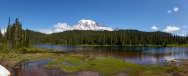 Güneşli bir yaz günü boyunca arka planda Mt Rainier ile Yansıma Gölü Güzel Panoramik Görünümü. Taken in Paradise, Mt Rainier National Park, Washington, Amerika Birleşik Devletleri.