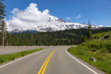 Güneşli bir yaz günü boyunca Dağ Manzarası ile çevrili doğal bir yolun güzel manzarası. Taken in Paradise, Mt Rainier National Park, Washington, Amerika Birleşik Devletleri.