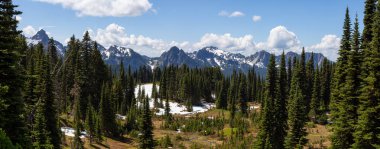 Güneşli bir yaz günü boyunca güzel Panoramik Amerikan Dağ Manzara görünümü. Taken in Paradise, Mt Rainier National Park, Washington, Amerika Birleşik Devletleri.