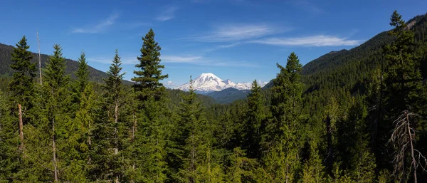 晴れた夏の日の美しいパノラマアメリカの山の風景 アメリカ合衆国ワシントン州レイニア山国立公園 パラダイスで撮影 — ストック写真