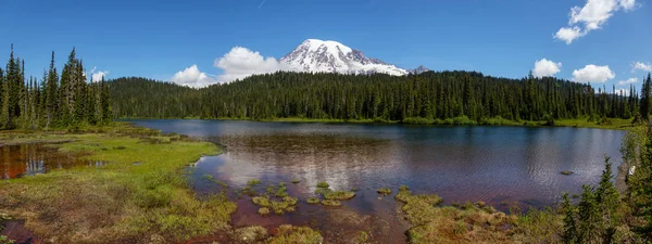 Güneşli Bir Yaz Günü Boyunca Arka Planda Rainier Ile Yansıma — Stok fotoğraf