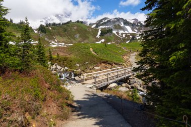 Güneşli bir yaz günü boyunca Dağ Manzarası ile çevrili nehir üzerinde bir patika ve köprü güzel bir görünüm. Taken in Paradise, Mt Rainier National Park, Washington, Amerika Birleşik Devletleri.