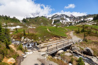 Güneşli bir yaz günü boyunca Dağ Manzarası ile çevrili nehir üzerinde bir patika ve köprü güzel bir görünüm. Taken in Paradise, Mt Rainier National Park, Washington, Amerika Birleşik Devletleri.