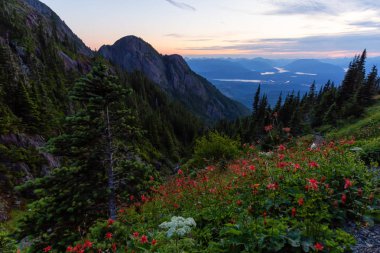 Canlı bir yaz gün batımı sırasında Kanada Dağ Manzara Güzel Panoramik görünümü. Mt Arrowsmith' te, Nanaimo ve Port Alberni yakınlarında, Vancouver Adası, Bc, Kanada.