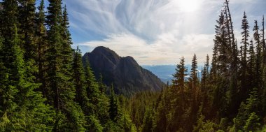 Canlı bir yaz günü boyunca Kanada Dağ Manzara Güzel Panoramik görünümü. Mt Arrowsmith'te, Nanaimo yakınlarında, Vancouver Adası, Bc, Kanada.