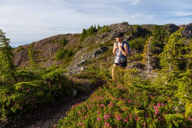 Maceracı kız canlı bir yaz akşamı sırasında Kanada Dağ Manzara güzel iz yürüyüş. Mt Arrowsmith'te, Nanaimo yakınlarında, Vancouver Adası, Bc, Kanada.