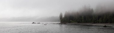 Sisli ve yağmurlu bir yaz gününde Juan de Fuca Trail üzerinde kumlu bir plaj Güzel Panoramik Görünümü. Sombrio Beach'te, Port Renfrew yakınlarında, Vancouver Adası, Bc, Kanada.