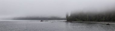 Sisli ve yağmurlu bir yaz gününde Juan de Fuca Trail üzerinde kumlu bir plaj Güzel Panoramik Görünümü. Sombrio Beach'te, Port Renfrew yakınlarında, Vancouver Adası, Bc, Kanada.