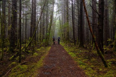 Maceracı bayan arkadaşlar sisli ve yağmurlu bir yaz günü boyunca ormanda Juan de Fuca Trail yürüyüş vardır. Port Renfrew yakınlarında çekilen Vancouver Adası, Bc, Kanada.