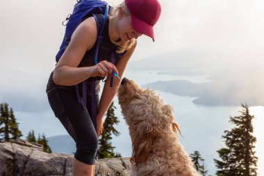 Maceracı Woman Hiker ve köpek bulutlu ve güneşli bir yaz gününde su dinking vardır. Vancouver, British Columbia, Kanada yakınlarındaki bir dağda yürüyüş yaparken çekilen.