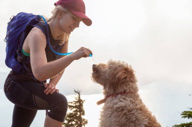 Maceracı Woman Hiker ve köpek bulutlu ve güneşli bir yaz gününde su dinking vardır. Vancouver, British Columbia, Kanada yakınlarındaki bir dağda yürüyüş yaparken çekilen.